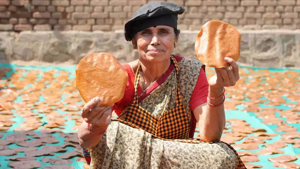 Chhayakart Contact Us Pagegalary.36ad50b9bdb71f6bb4ba